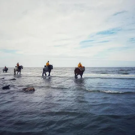Near Sandy In Belgium, Cleaning Included * Oostduinkerke